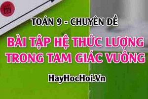 Bài tập Hệ thức lượng trong tam giác vuông có lời giải (chi tiết, dễ hiểu) - Toán lớp 9 chuyên đề